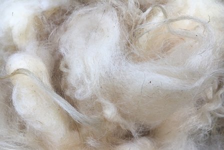 500 g A-Klasse - Bentheimer Landschaf (Elfenbeinfarbig)