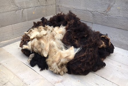 1 kg Basiswolle / Füllwolle - pur (Gemischt)