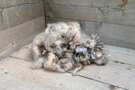 200 g Basiswolle / Füllwolle - pur (Wollweiß)