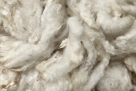 1 kg Basiswolle / Füllwolle - gewaschen (Wollweiß)