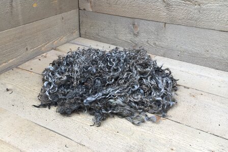 500 g Lammwolle - Gotland Pelzschaf (Hellgrau)