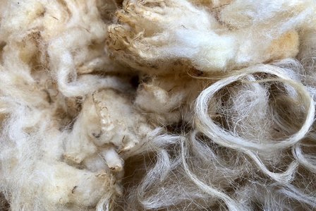 1 kg Basiswolle / Füllwolle - pur (Wollweiß)