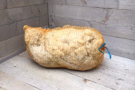 1 kg Basiswolle / Füllwolle - pur (Wollweiß)