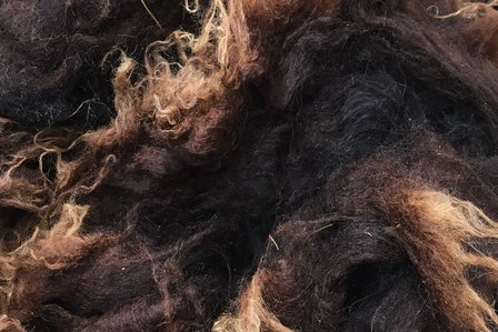 500 g Lammwolle - Drenter Heideschaf (Braunschwarz)