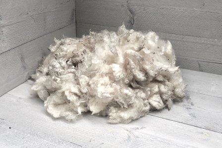 500 g A-Klasse - Poll Dorset (Elfenbeinfarbig)