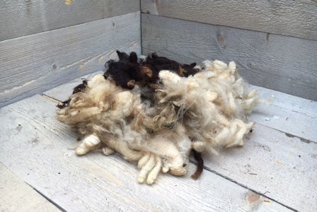 200 g Basiswolle / Füllwolle - pur (Gemischt)