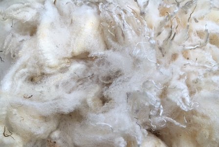 1 kg weiche Puppen- und Kissenfüllung - pur (Wollweiß)
