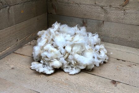 200 g Basiswolle / F&uuml;llwolle - gewaschen (Wollwei&szlig;)