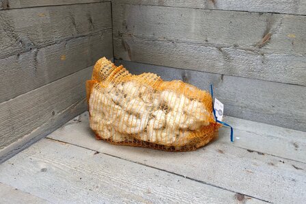 200 g Basiswolle / F&uuml;llwolle - gewaschen (Wollwei&szlig;)
