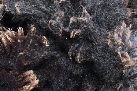 500 g A-Klasse - Blaue Texelschaf (Dunkelgraubraun)
