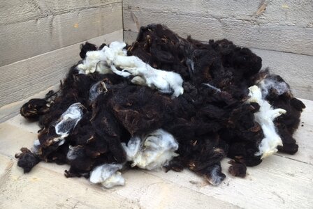 1 kg Basiswolle / Füllwolle - gewaschen (Gemischt)