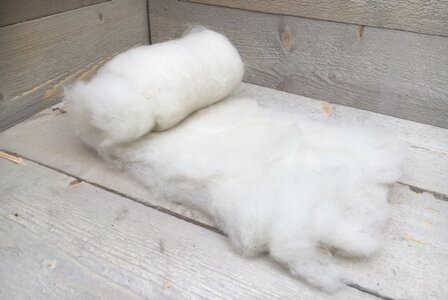 100 g gewaschene Vlieswolle - Texelschaf (Elfenbeinfarbig)