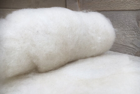 100 g gewaschene Vlieswolle - Texelschaf (Elfenbeinfarbig)