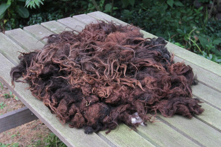 Viertel (&frac14;) Fell A-Kl. - Drenter Heideschaf (Braun)