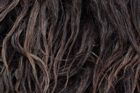 Viertel (&frac14;) Fell A-Kl. - Drenter Heideschaf (Braun)