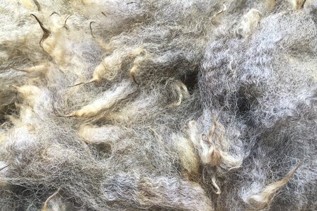 500 g A-Klasse - Finnisches Landschaf (Hell/Mittelgrau)