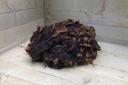 500 g Lammwolle - Zwartbles (Rotbraun)