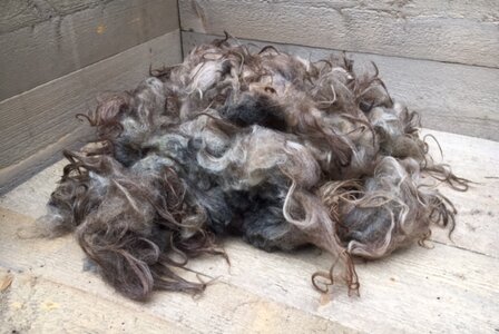 500 g A-Klasse - Drenter Heideschaf (Hellgrau)