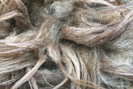 500 g A-Klasse - Drenter Heideschaf (Hellgrau)