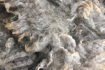 500 g A-Klasse - Romney (Grau)