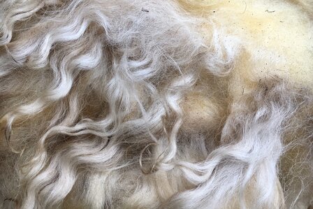 500 g A-Klasse - Zackelschaf (Naturfarben)