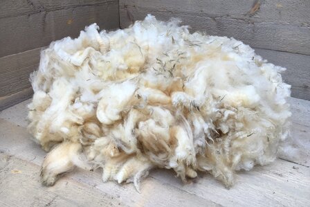 1 kg A-Klasse - Swifter (Elfenbeinfarbig)