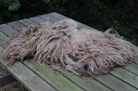 Viertel (&frac14;) Fell A-Klasse - Drenter Heideschaf (Meliert)