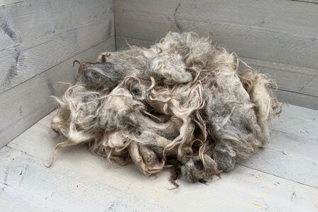 500 g A-Klasse - Drenter Heideschaf (Meliert)