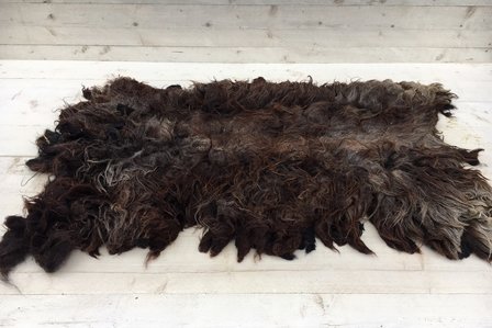 Ganzes Fell A-Klasse - Drenter Heideschaf (Braunschwarz)