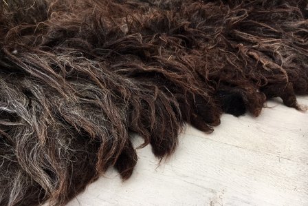 Ganzes Fell A-Klasse - Drenter Heideschaf (Braunschwarz)