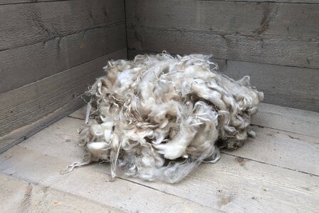 500 g Lammwolle - Veluws Heideschaf (Elfenbeinfarbig)