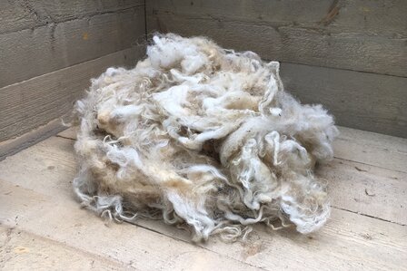 500 g Lammwolle - Zackelschaf (Elfenbeinfarbig)