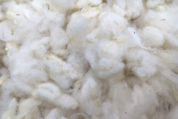 500 g - weiche Füllung - gewaschen Flockenwolle (Wollweiß)