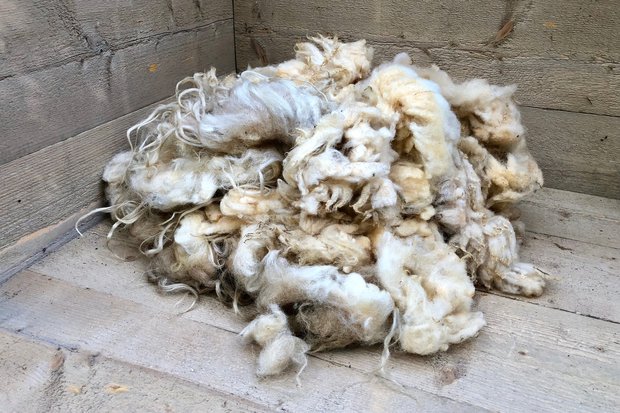 1 kg Basiswolle / Füllwolle - pur (Wollweiß)