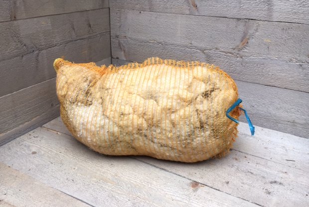 1 kg Basiswolle / Füllwolle - pur (Wollweiß)