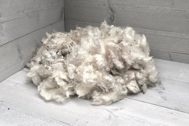 500 g A-Klasse - Poll Dorset (Elfenbeinfarbig)