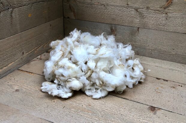 200 g Basiswolle / Füllwolle - gewaschen (Wollweiß)