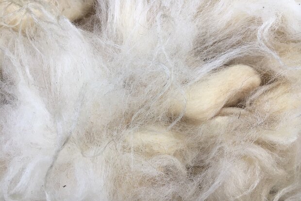 500 g A-Klasse - Veluws Heideschaf (Elfenbeinfarbig)