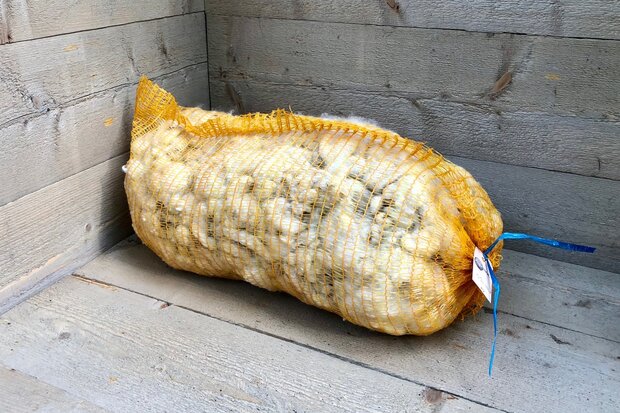 1 kg Basiswolle / Füllwolle - gewaschen (Wollweiß)