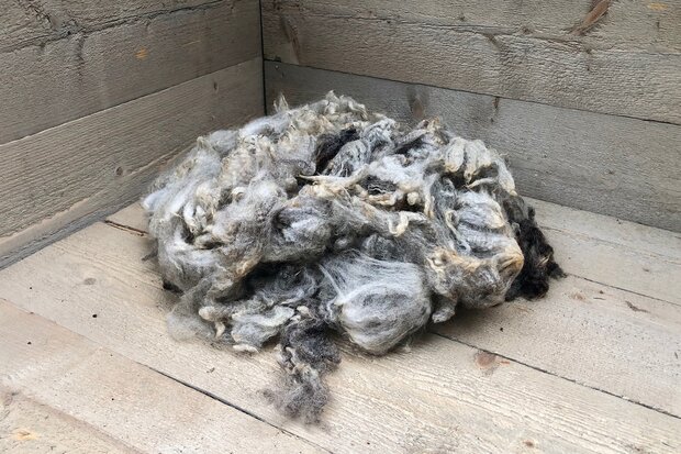 500 g A-Klasse - Finnisches Landschaf (Silbergrau)