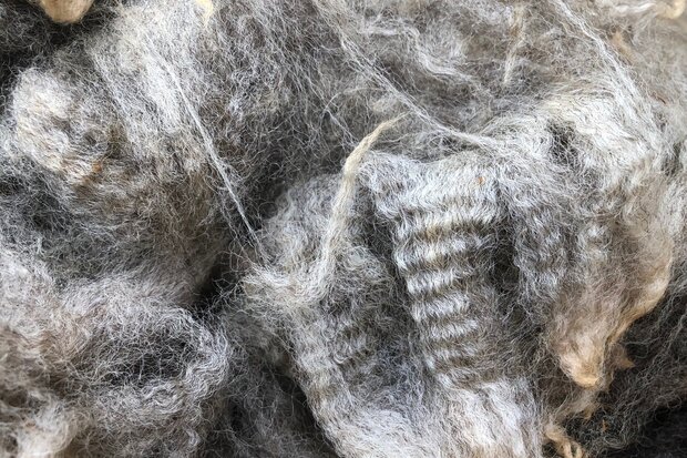 500 g A-Klasse - Finnisches Landschaf (Silbergrau)