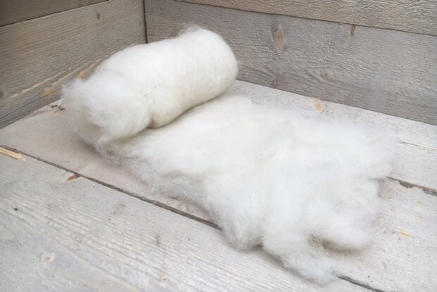 100 g gewaschene Vlieswolle - Texelschaf (Elfenbeinfarbig)