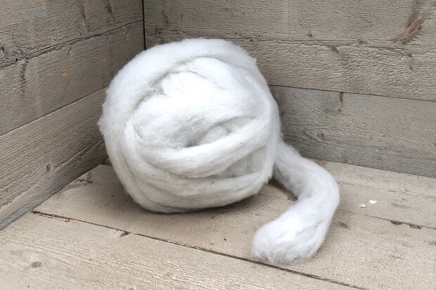 500 g gew. Kammzugwolle - Texelschaf (Elfenbeinfarbig)