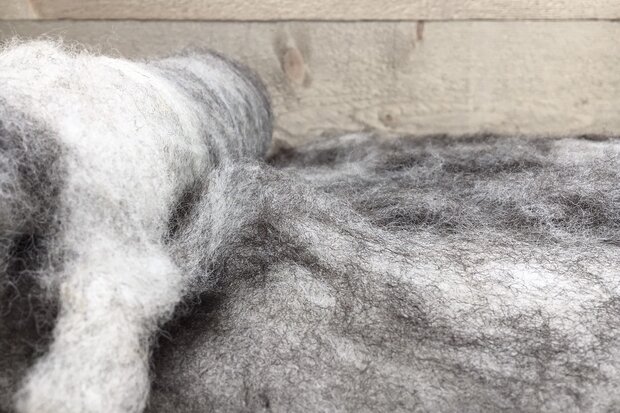 100 g gewaschene Vlieswolle - Nied.Buntes Sch. (Bunt gefleckt)