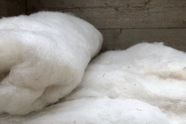 500 g gewaschene Vlieswolle - Basiswolle / Füllwolle (Wollweiß)