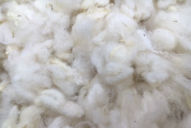 100 g - weiche Füllung - gewaschen Flockenwolle (Wollweiß)