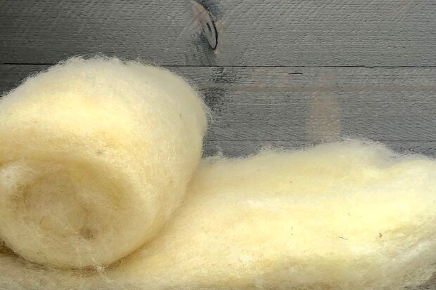 250 g gewaschene Vlieswolle - Llanwenog (Chamois)
