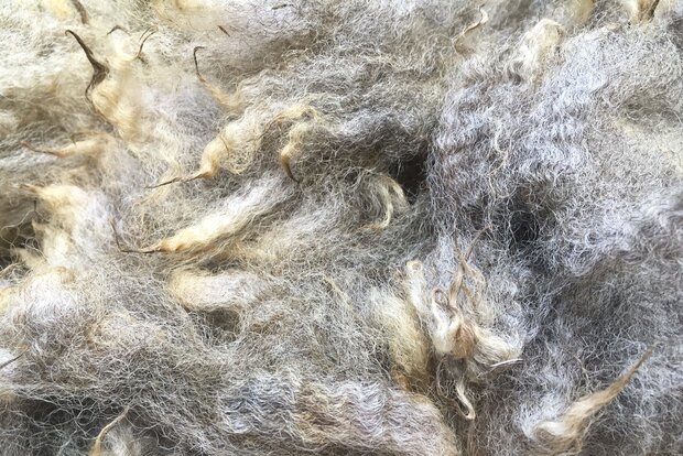 500 g A-Klasse - Finnisches Landschaf (Hell/Mittelgrau)