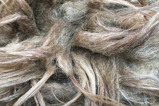 500 g A-Klasse - Drenter Heideschaf (Hellgrau)