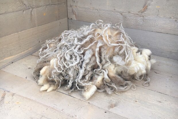 500 g A-Klasse - Zackelschaf (Naturfarben)